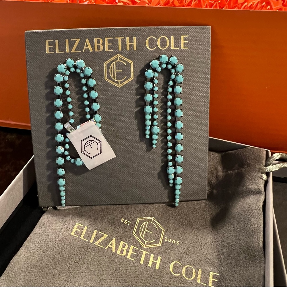 Elizabeth Cole Turquoise dangle statement earrings